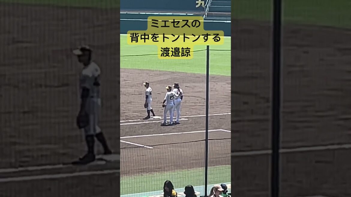 【阪神2軍】試合前練習　ミエセスの背中をトントンする渡邉諒「2024.5.3  阪神vsくふうハヤテ」 #shorts