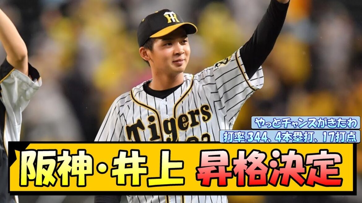 阪神・井上 昇格決定！【なんJ/2ch/5ch/ネット 反応 まとめ/阪神タイガース/岡田監督/井上広大】