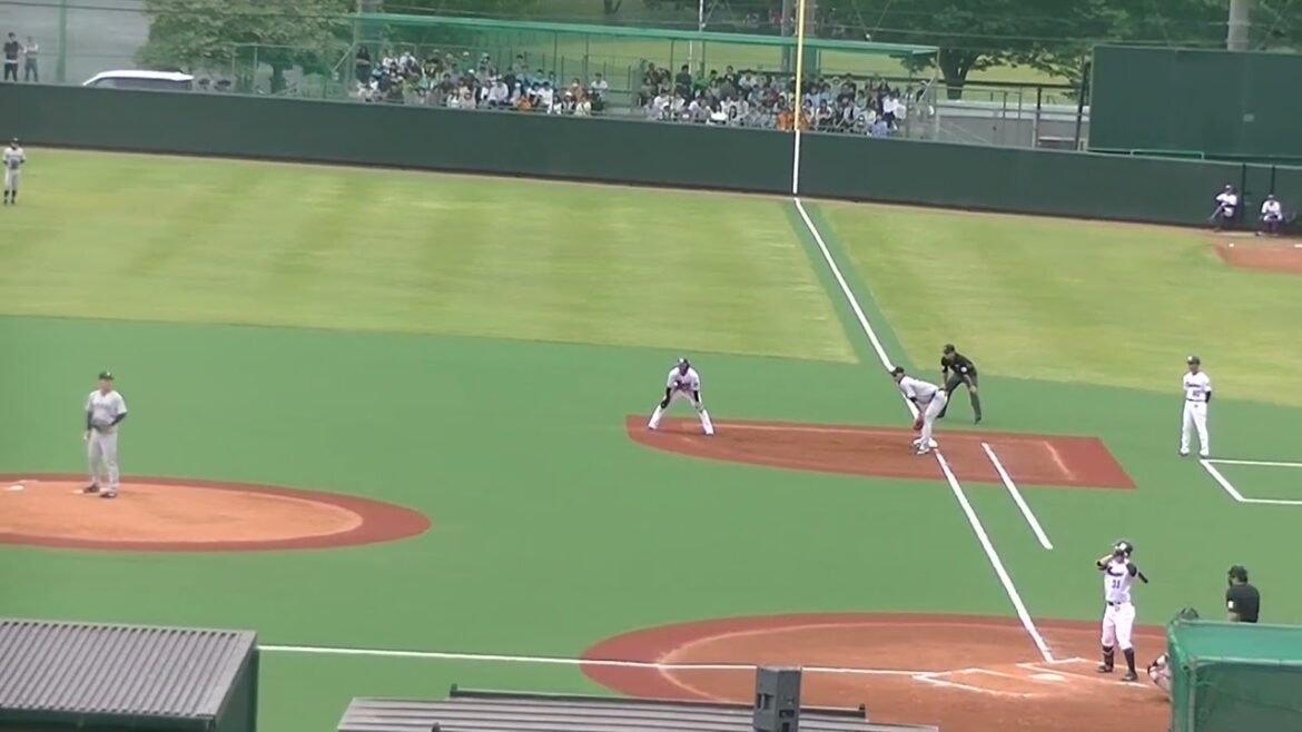 山崎晃太郎に四球を出してしまう松井颯（ヤクルトスワローズ対 読売ジャイアンツ2024年5月6日）