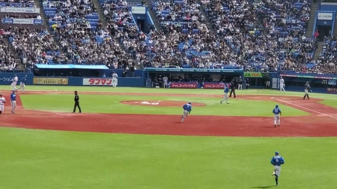 20240319　衝撃が突き刺さる♪【濱田太貴 応援歌　2回ｳﾗ　東京ﾔｸﾙﾄｽﾜﾛｰｽﾞ@神宮球場･ﾚﾌﾄ外野 明治神宮野球場 ｵｰﾌﾟﾝ戦