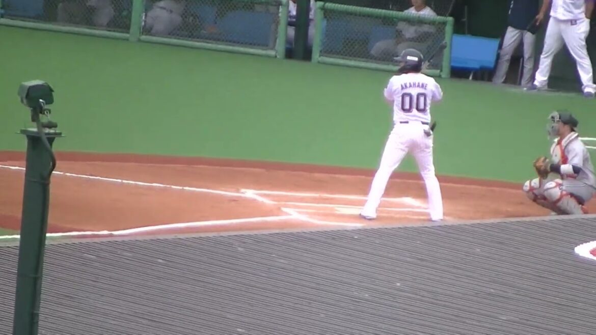 【スワローズ】赤羽由紘のバッティングフォームとスイング＜2軍・ヤクルトスワローズ対 読売ジャイアンツ  2024年5月6日＞