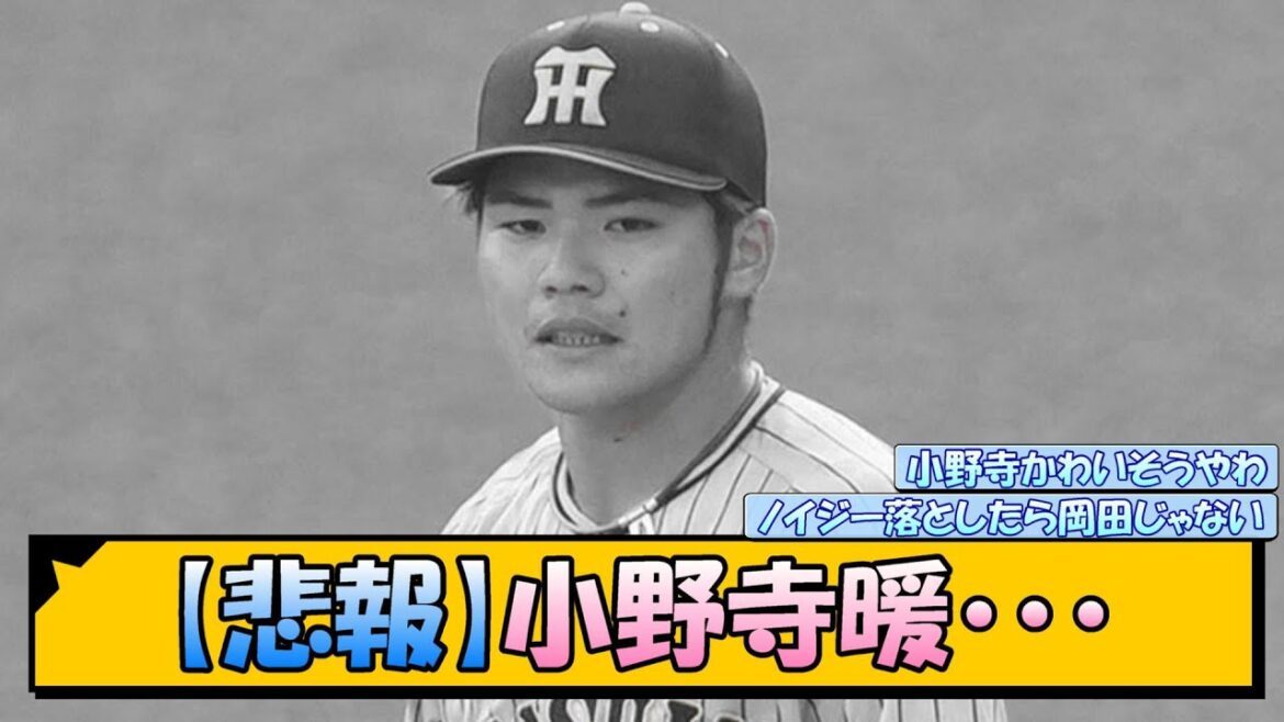 【悲報】小野寺暖・・・【なんJ/2ch/5ch/ネット 反応 まとめ/阪神タイガース/岡田監督/井上広大】