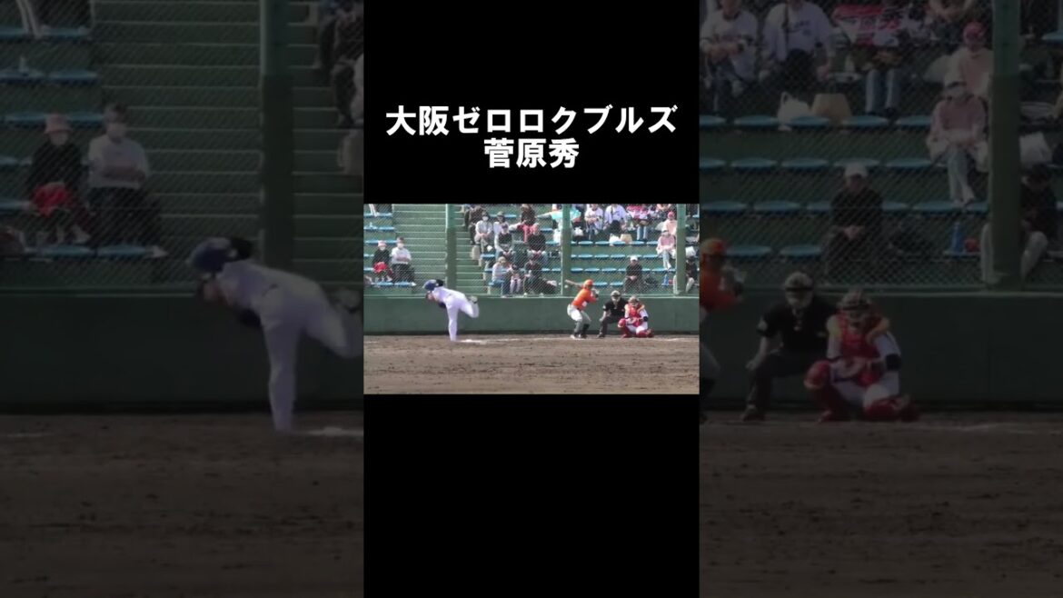 【大阪ゼロロクブルズ】菅原秀 ストレート #shorts 【大阪ゼロロクブルズ】菅原秀 ストレート #shorts