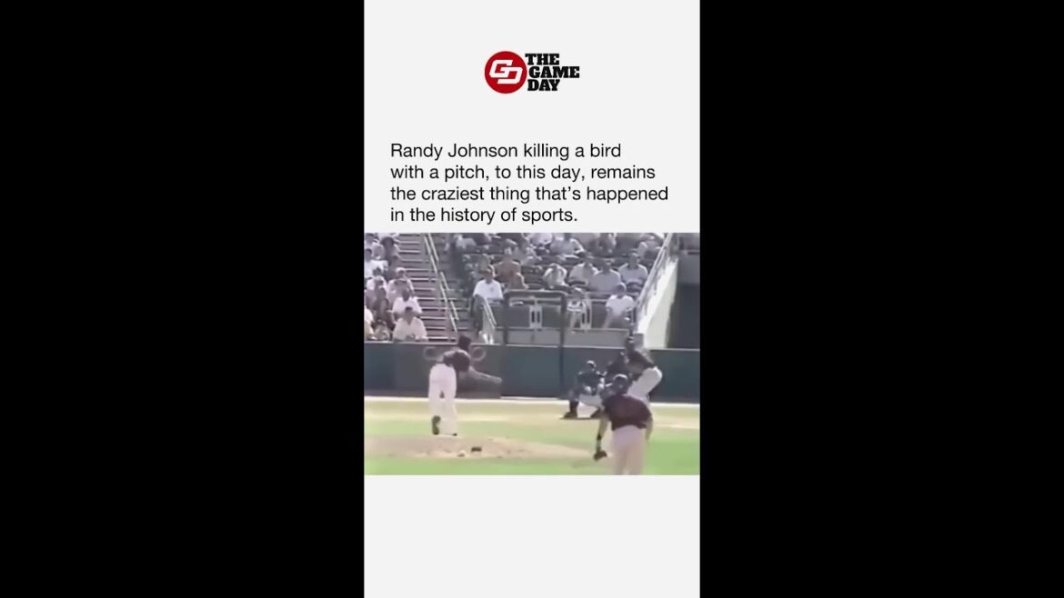 Randy Johnson Demolishes Bird With 100 MPH Fastball