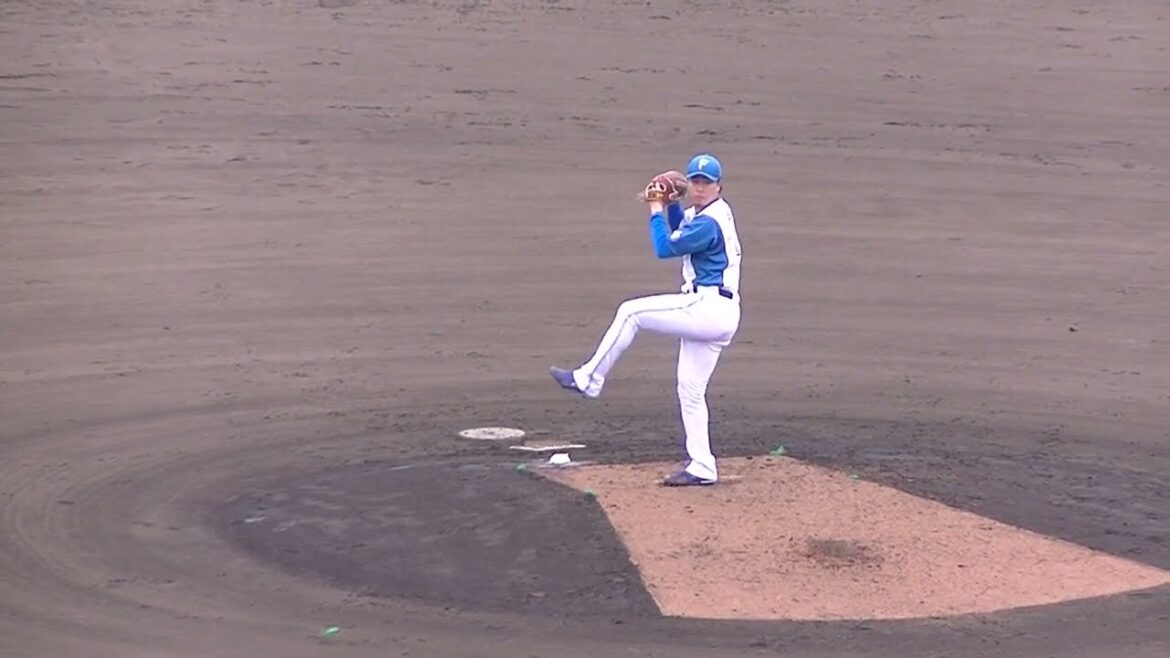 【ファイターズ】齊藤 伸治 投球フォーム2024年4月23日