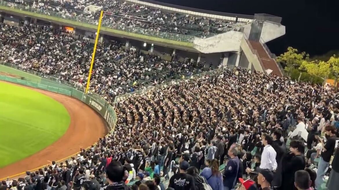 ロッテファンのド迫力安田コール　平日のナイターゲーム