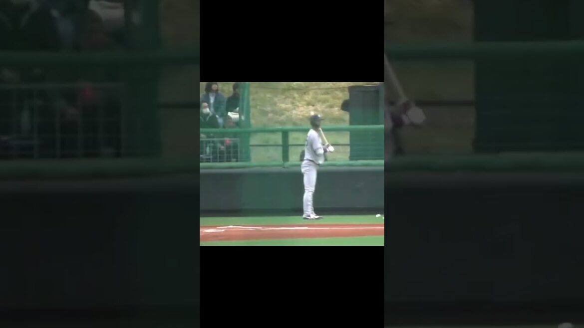 開幕スタメン狙える松原聖弥ヒットを放つ（ ヤクルトスワローズ対 読売ジャイアンツ2024年3月28日）