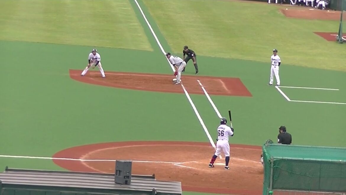 松井颯 三ツ俣大樹をファースゴロに打ち取る（ヤクルトスワローズ対 読売ジャイアンツ2024年5月6日）