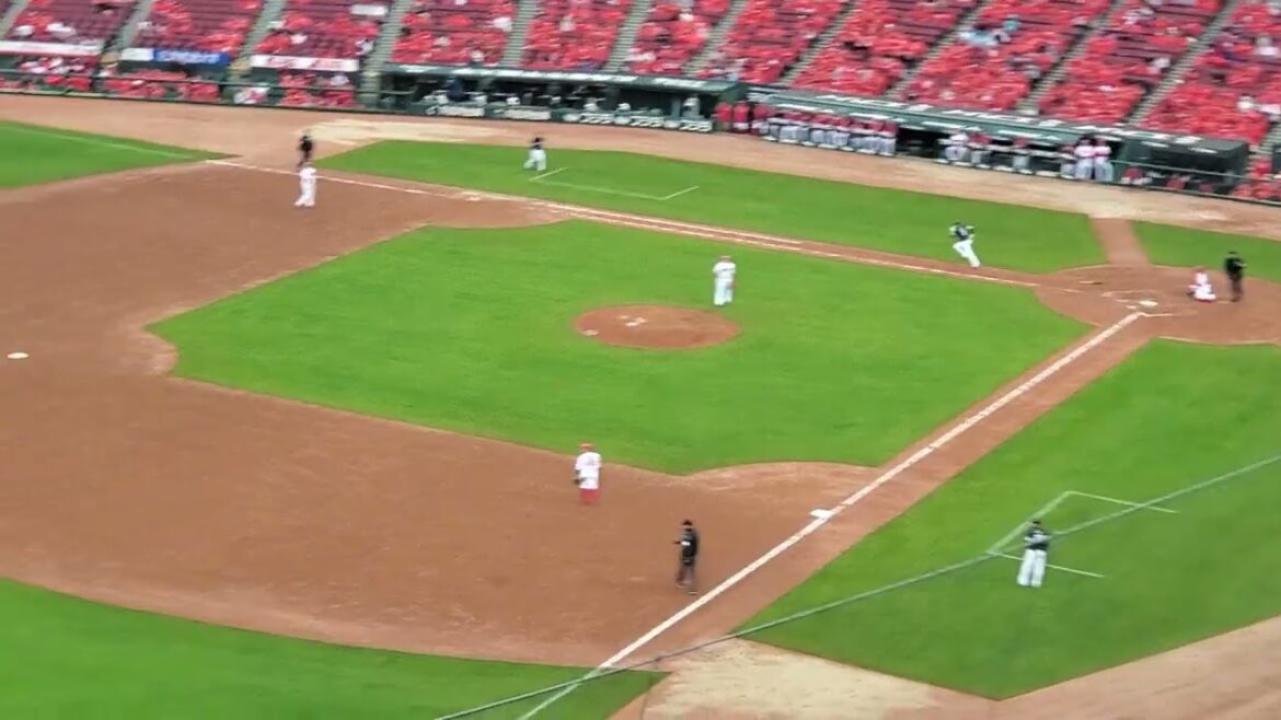 20240324　川瀬晃がﾋｯﾄを放つ！→出塁ﾃｰﾏ2連　9回表　福岡ｿﾌﾄﾊﾞﾝｸﾎｰｸｽ@MAZDA Zoom-Zoom ｽﾀｼﾞｱﾑ広島･ﾋﾞｼﾞﾀｰﾊﾟﾌｫｰﾏﾝｽ ｵｰﾌﾟﾝ戦