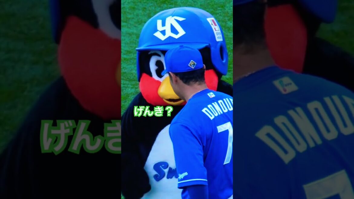 つば九郎　中日・堂上コーチにごあいさつ！#swallows #つば九郎 #堂上直倫 #dragons #shorts