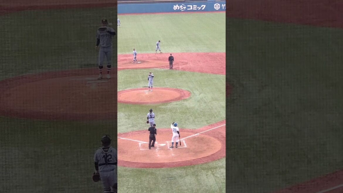 東京大学 明石健捕手（渋谷教育学園幕張高等学校）内野安打