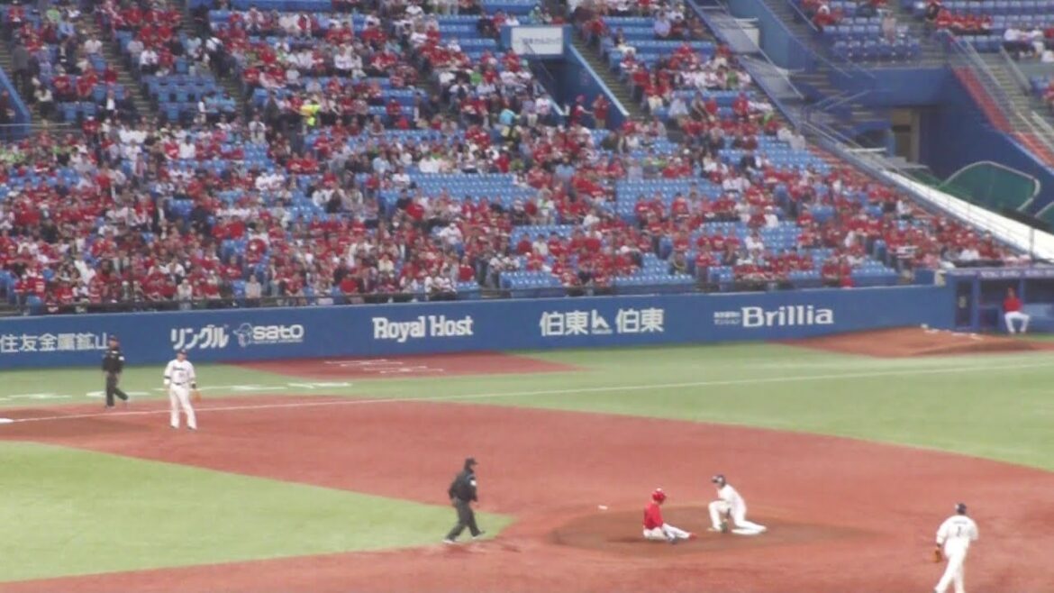 ヤクルト 中村悠平 ナイスプレー 好返球で野間峻祥の盗塁阻止　ヤクルト vs 広島　2024年4月25日(木)