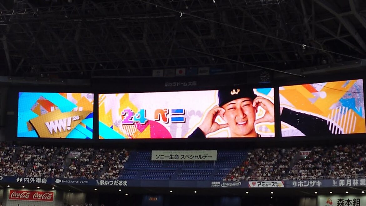紅林弘太郎 選手 ｢伊集加代子  おしえて(アルプスの少女ハイジ)｣ 奇数打席 登場曲 オリックス･バファローズ 選手 ビジョン映像 PV 演出 @ 京セラドーム 2024 Bsオリっこデー
