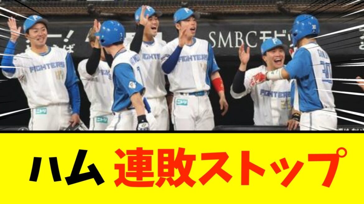 日本ハム、６－３でロッテに勝利し連敗ストップ