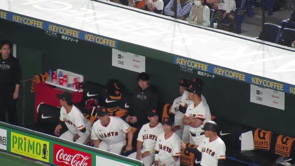 楽しそうに応援する小林誠司や中山礼都2024年5月1日 読売ジャイアンツ 対 ヤクルトスワローズ