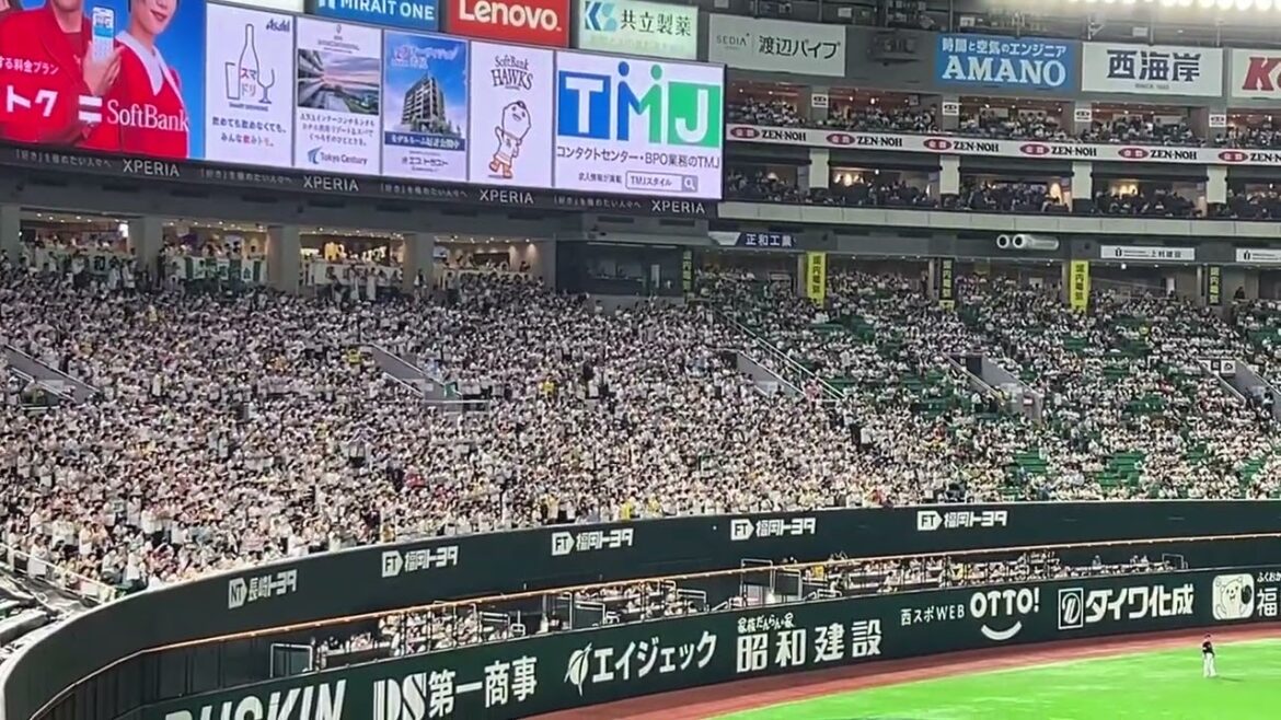 【応援歌】中村晃