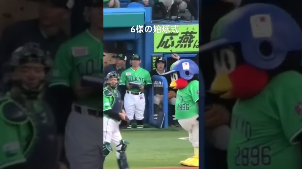 つば九郎、宮本慎也さんに一礼 #つば九郎 #東京ヤクルトスワローズ #shorts