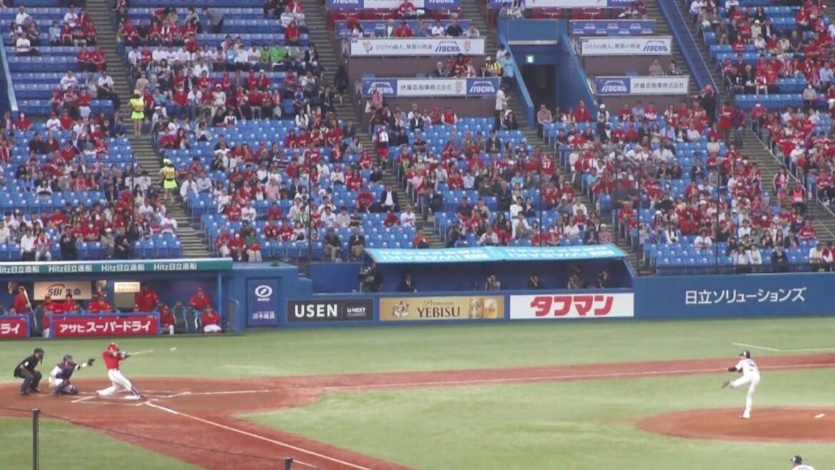 広島 野間峻祥 タイムリーヒット　ヤクルト vs 広島　2024年4月25日(木)