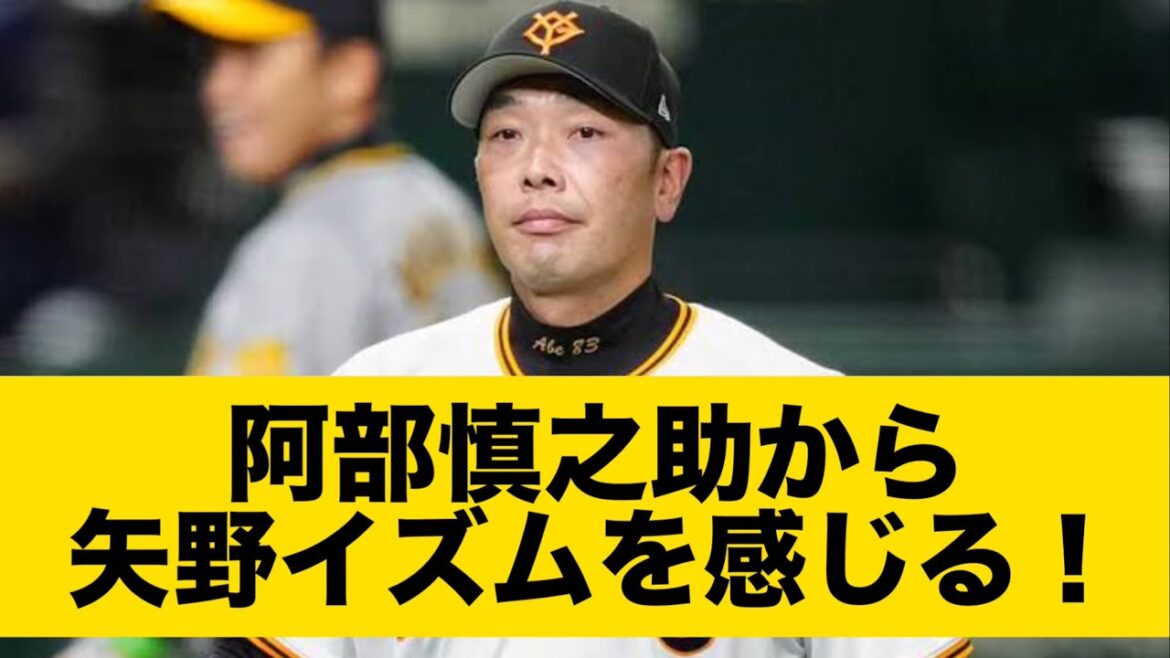 阿部慎之助から矢野イズムを感じる！
