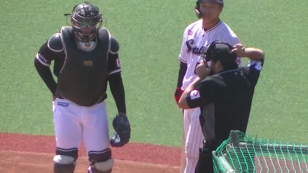 伊藤琉偉と橋本星哉を打ち取る二木康太【ヤクルトスワローズ対 千葉ロッテマリーンズ イースタン2024年4月19日】