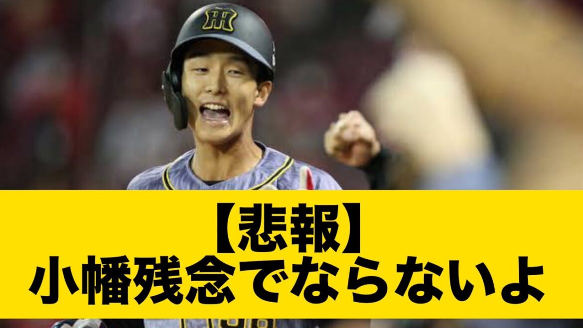 【悲報】小幡残念でならないよ