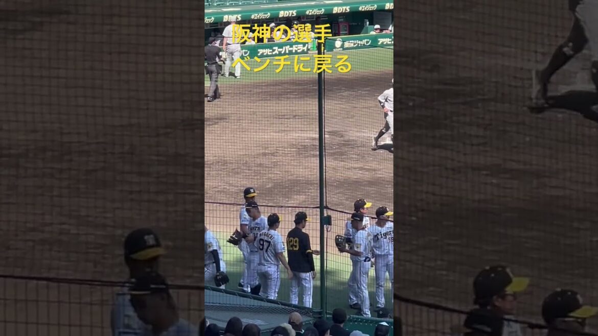 守備が終わり #阪神甲子園球場
