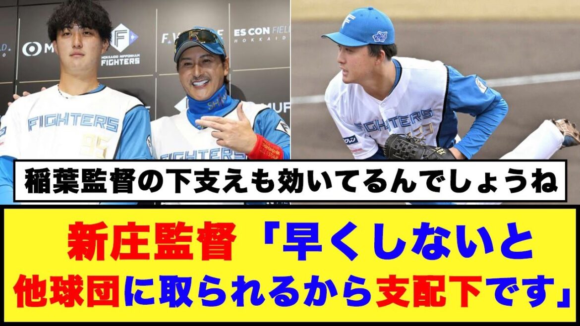 【日本ハム】新庄監督「早くしないと他球団に取られるから支配下です」【日本ハム反応集】【ネットの反応】#日本ハムファイターズ #新庄監督 #柳川大晟 #福島蓮