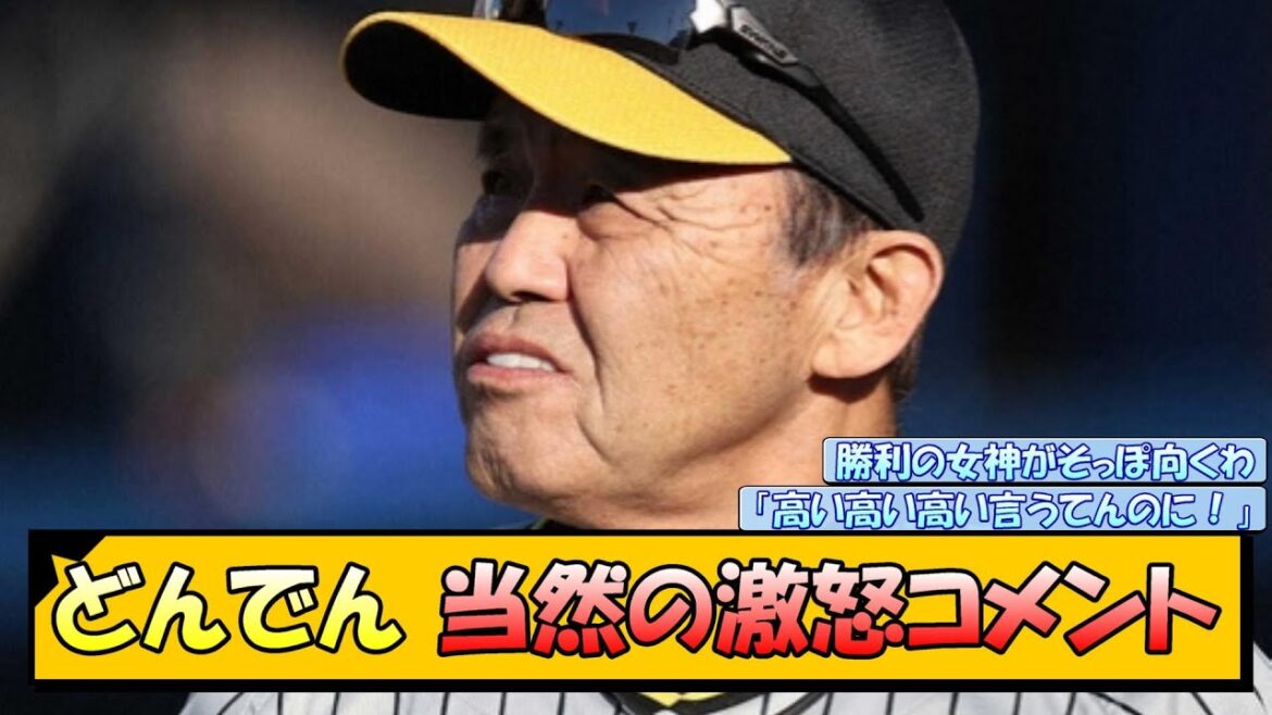 【阪神】どんでん 当然の激怒コメント【なんJ/2ch/5ch/ネット 反応 まとめ/阪神タイガース/岡田監督/伊藤将司】