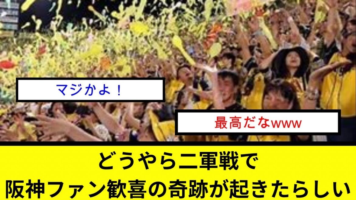 どうやら二軍戦で阪神ファン歓喜の奇跡が起きたらしい どうやら二軍戦で阪神ファン歓喜の奇跡が起きたらしい