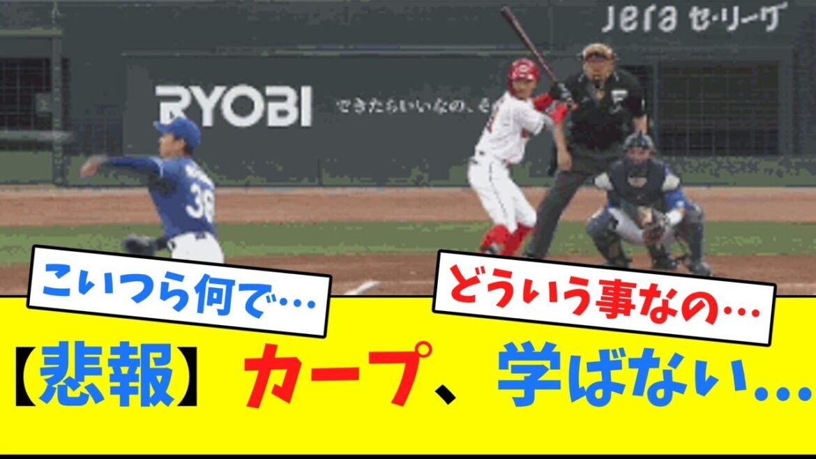 【悲報】カープ学ばない...【ネット反応集】