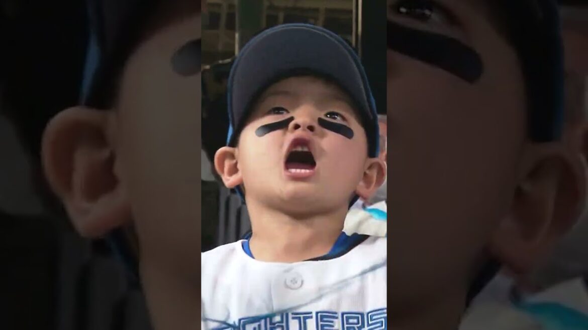 【同一カード３連勝！今季３度目のサヨナラ勝ち！万波中正４号ソロ・伏見寅威バースデー適時打・水野達稀サヨナラ打！】5/12vs.千葉ロッテマリーンズ　ハイライト