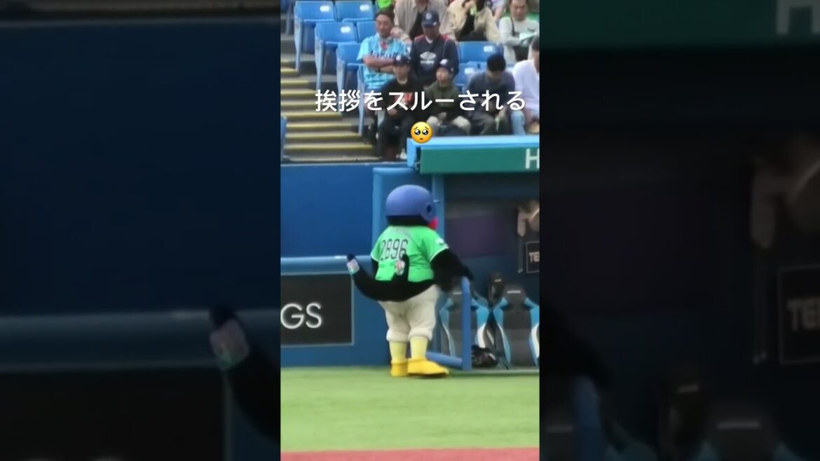 つば九郎、挨拶をスルーされる #東京ヤクルトスワローズ #つば九郎 #shorts
