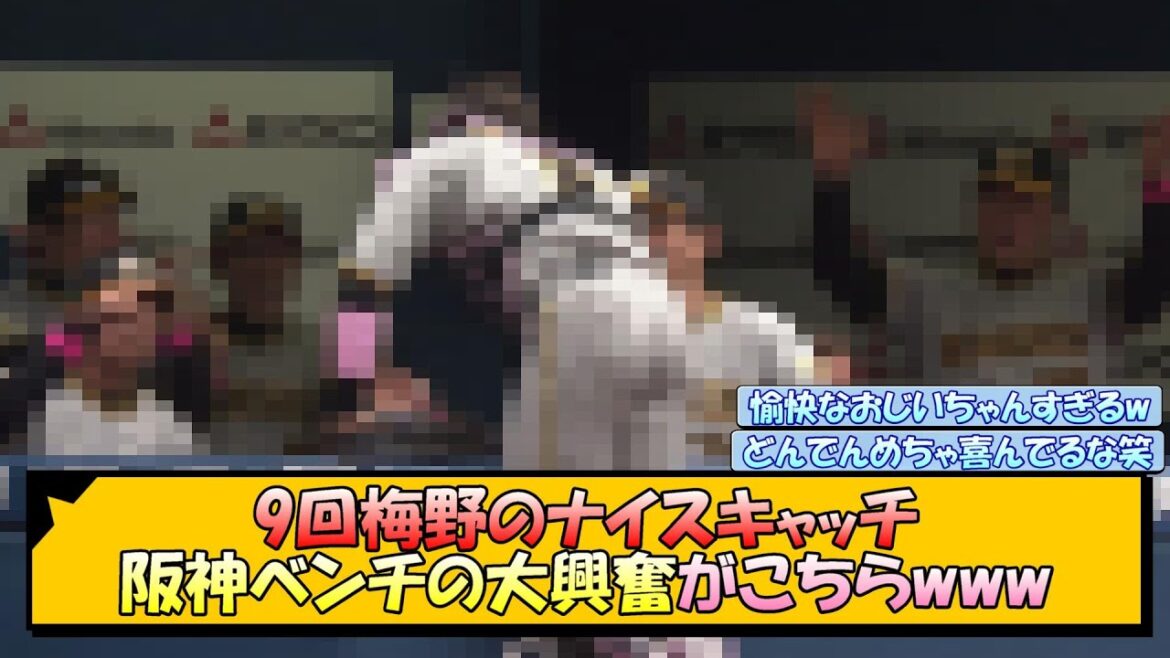 9回梅野のナイスキャッチ、阪神ベンチの大興奮がこちらwww【なんJ/2ch/5ch/ネット 反応 まとめ/阪神タイガース/岡田監督/梅野隆太郎/才木浩人】