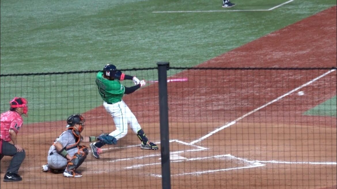 サンタナの勝ち越しタイムリーヒット！東京ヤクルトスワローズ 2024/05/12