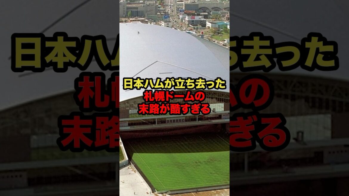 日本ハムが立ち去った札幌ドームの末路が酷すぎる #プロ野球 #野球解説 #札幌ドーム #shorts