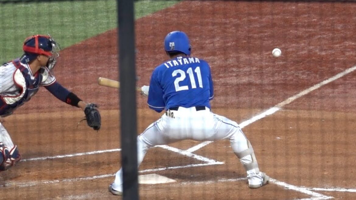 板山祐太郎 支配下登録当日にスタメン起用もバントを失敗してしまう 東京ヤクルトスワローズvs中日ドラゴンズ 2024/05/05 ユニフォーム間に合わず背番号211