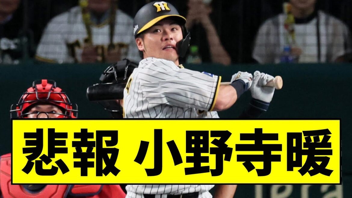 【阪神】小野寺が使われない理由wwwwww【2chスレ】