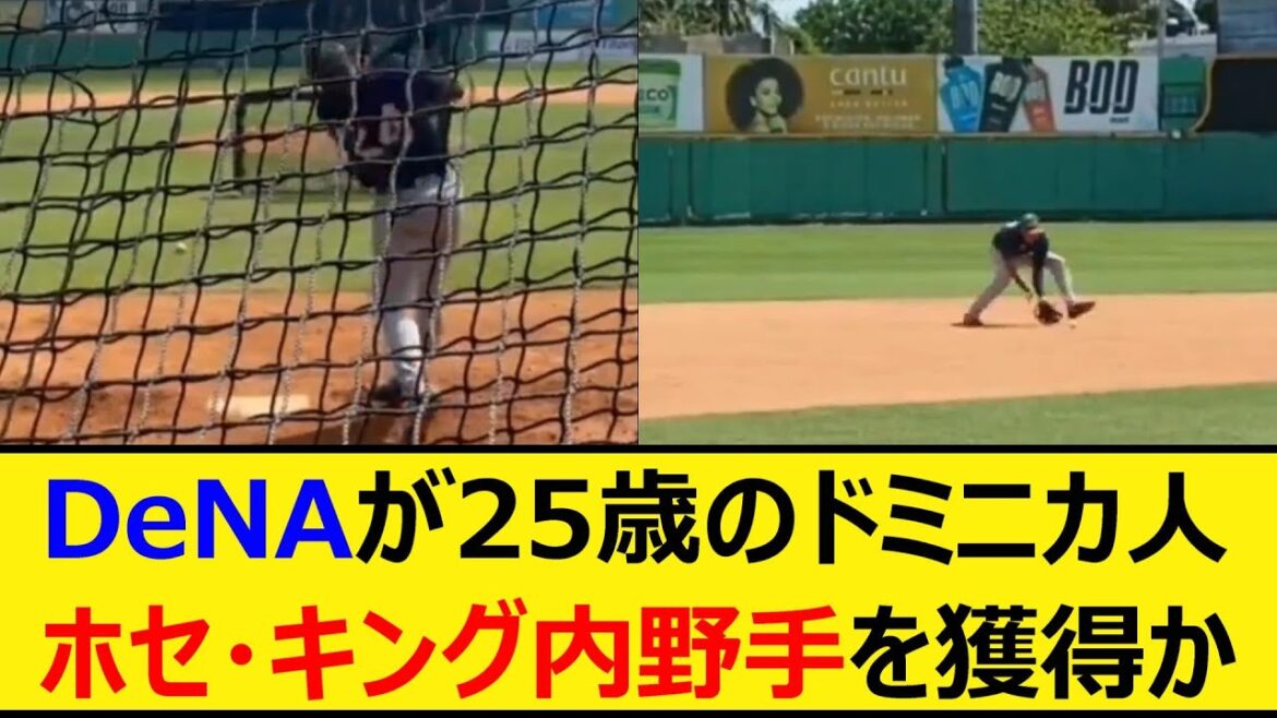 DeNAが25歳のドミニカ人、ホセ・キング内野手を獲得か【プロ野球、なんJ、なんG反応】【2ch、5chまとめ】【横浜DeNAベイスターズ、ベイスターズ、助っ人、MLB、メジャー、大リーグ、新外国人】