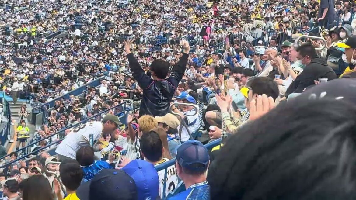 佐野恵太の打球をファンがダイレクトキャッチ横浜DeNAベイスターズ2024年5月12日才木阪神タイガース３回裏ファウルボールファール