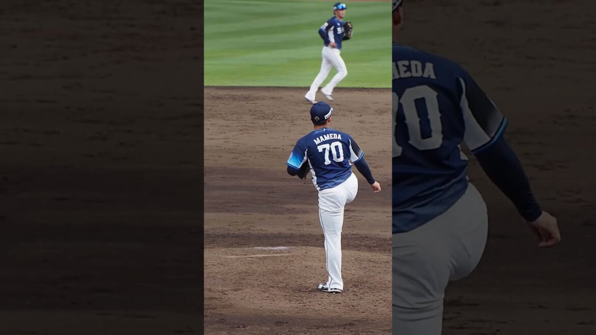 2024.04.30 読売-埼玉西武(ジャイアンツ) 豆田泰志 投球シーン #プロ野球 #seibulions 2024.04.30 読売-埼玉西武(ジャイアンツ) 豆田泰志 投球シーン #プロ野球 #seibulions