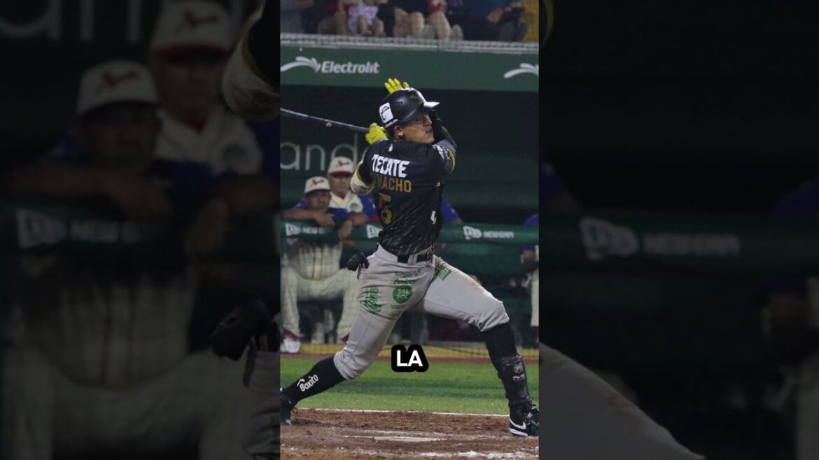 LEONES de YUCATÁN 11-2 ÁGUILA de VERACRUZ LMB 6 de MAYO #lmb #ligamexicanadebeisbol LEONES de YUCATÁN 11-2 ÁGUILA de VERACRUZ LMB 6 de MAYO #lmb #ligamexicanadebeisbol