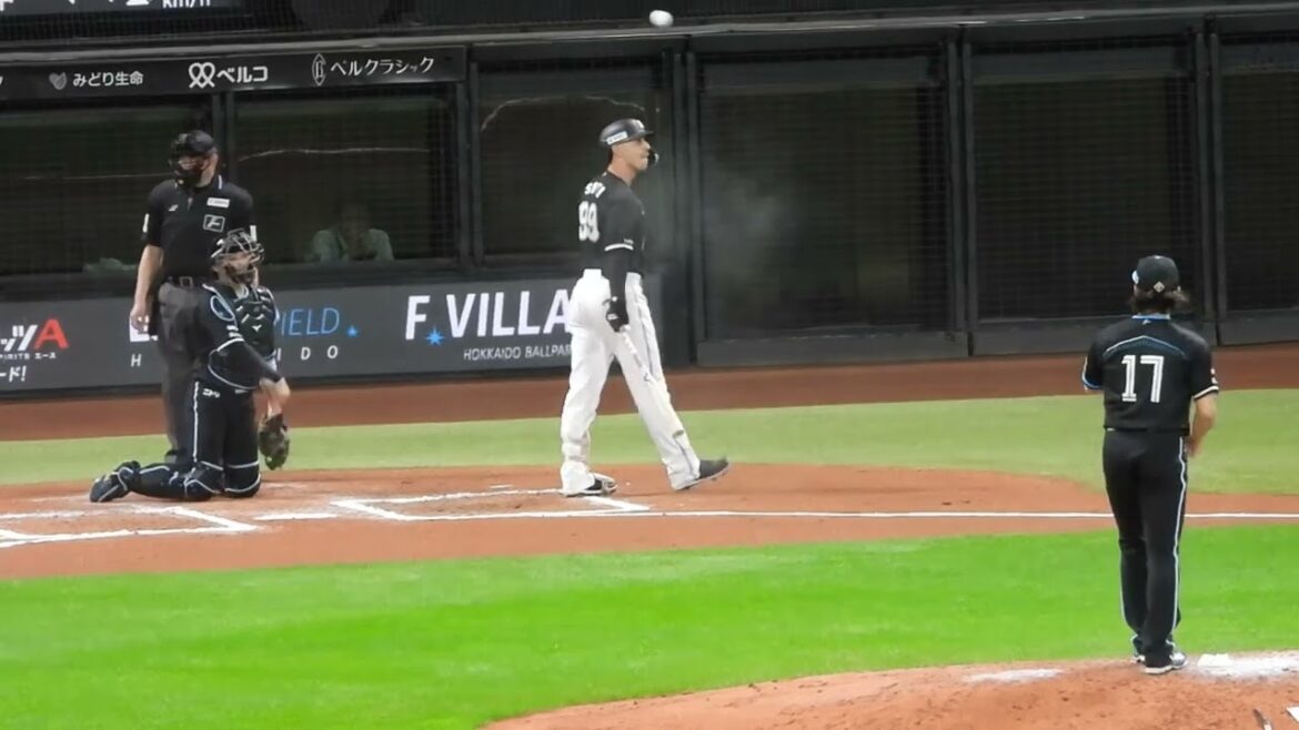 "追いロジン、ヒロミ"伊藤大海がネフタリ教を黙らせる‼︎ エスコンフィールド北海道日本ハム対ロッテ　ソト