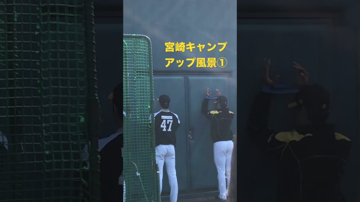宮崎キャンプ アップ風景①#ホークス #宮崎キャンプ #高橋純平