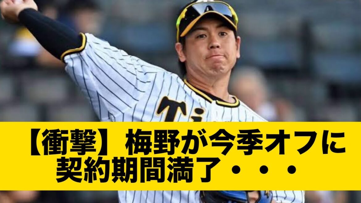 梅野が今季オフに契約期間満了・・・ 梅野が今季オフに契約期間満了・・・