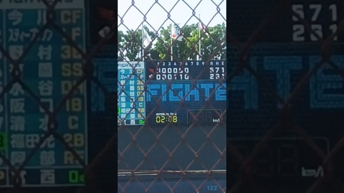 鎌スタの宮西尚生（2024年5月3日）