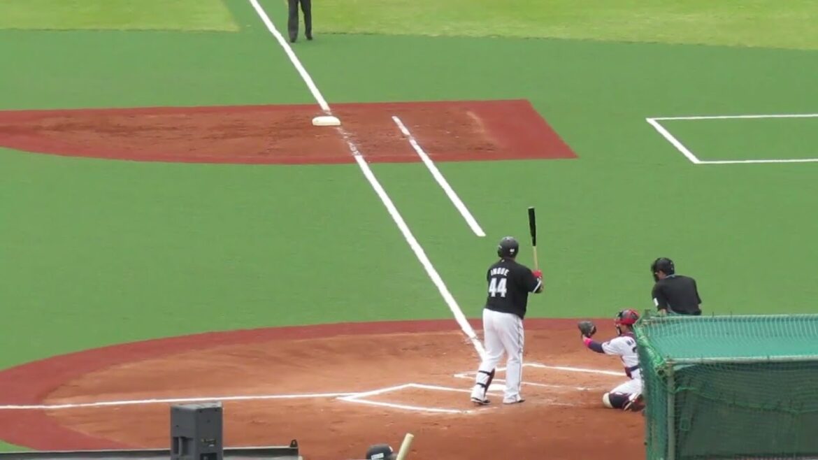 マリーンズ井上晴哉バッティングフォーム＜2軍・ヤクルトスワローズ対 千葉ロッテマリーンズ  2024年5月12日＞