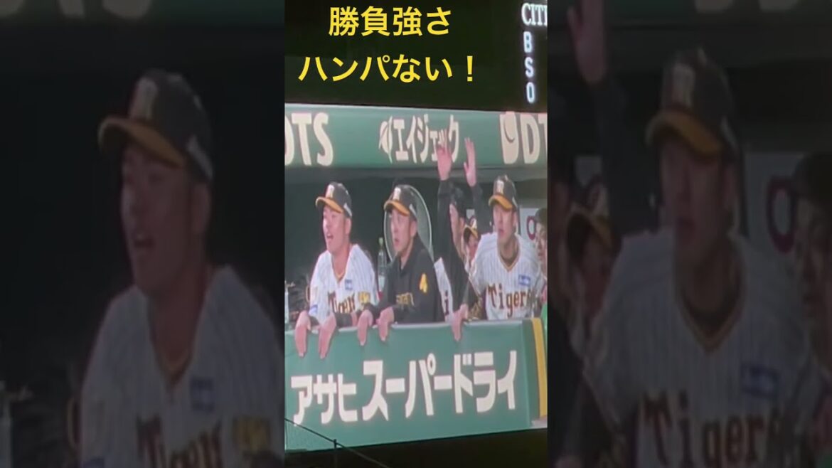 #阪神 #森下翔太 選手が #阪神甲子園球場