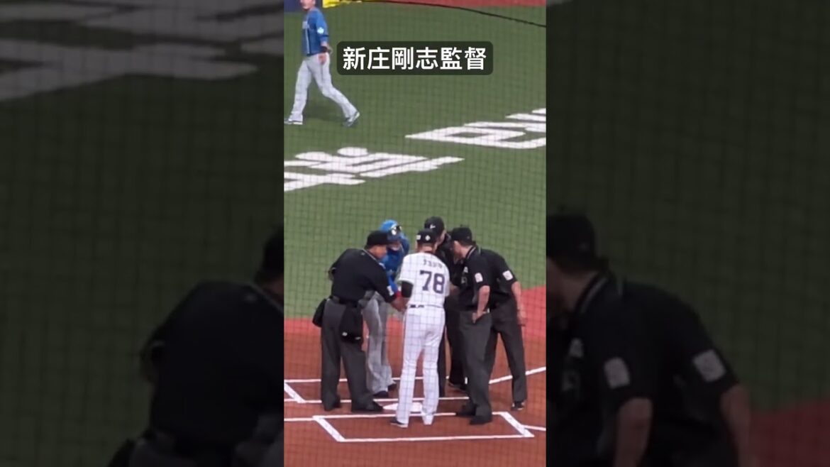 日本ハムファイターズ　新庄剛志監督　メンバー交換