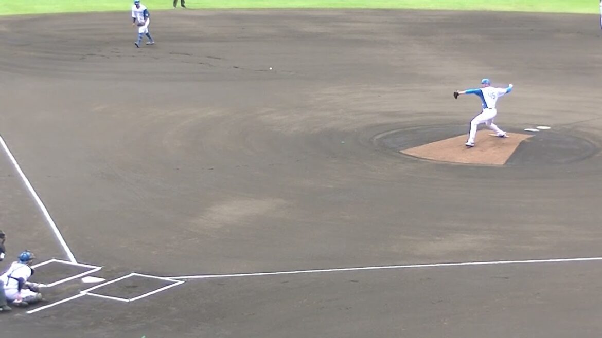 日ハム バーヘイゲン投球フォームと球筋【日本ハムファイターズ対 横浜DeNAベイスターズ2024年5月8日】