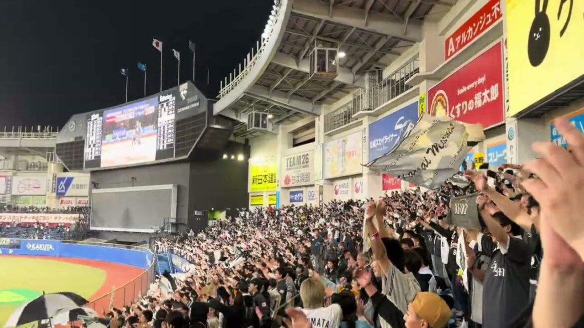 荻野貴司応援歌→ヒットテーマ台湾 2024/5/7 ロッテvs ライオンズ #chibalotte
